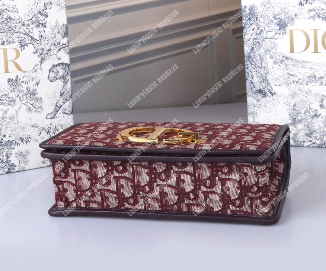 D*or 30 montaigne bag in burgundy oblique canvas