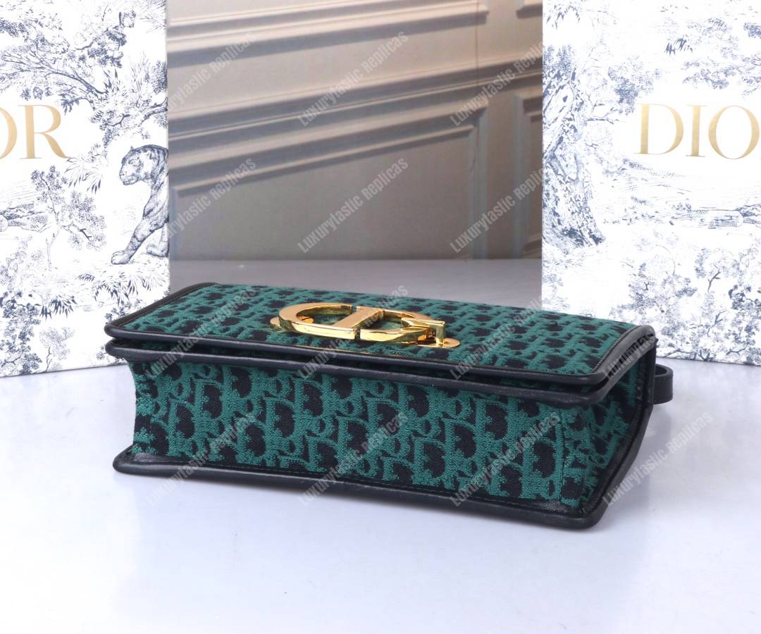 D*or 30 montaigne bag in green oblique canvas