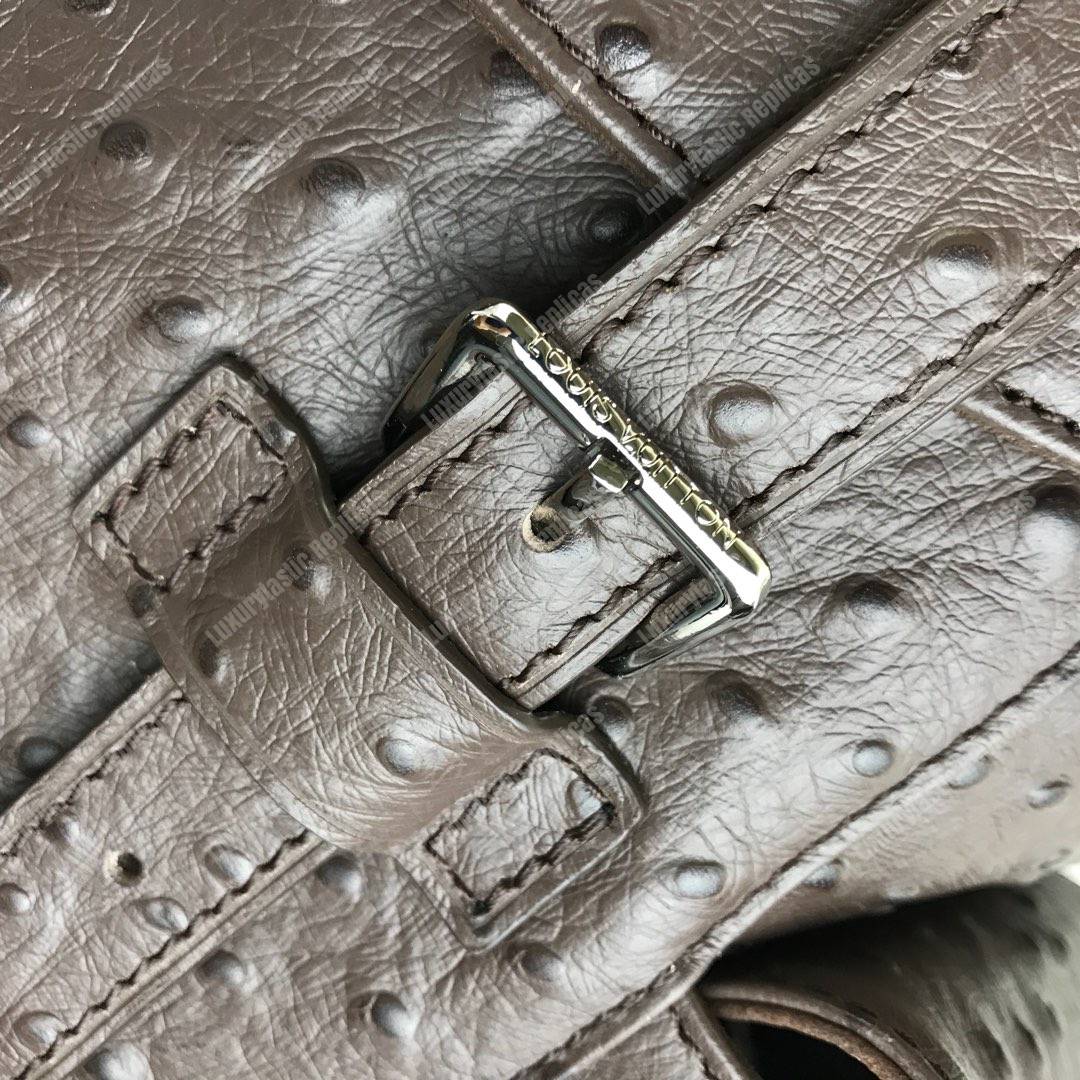 LV Christopher Backpack Autruche Brown