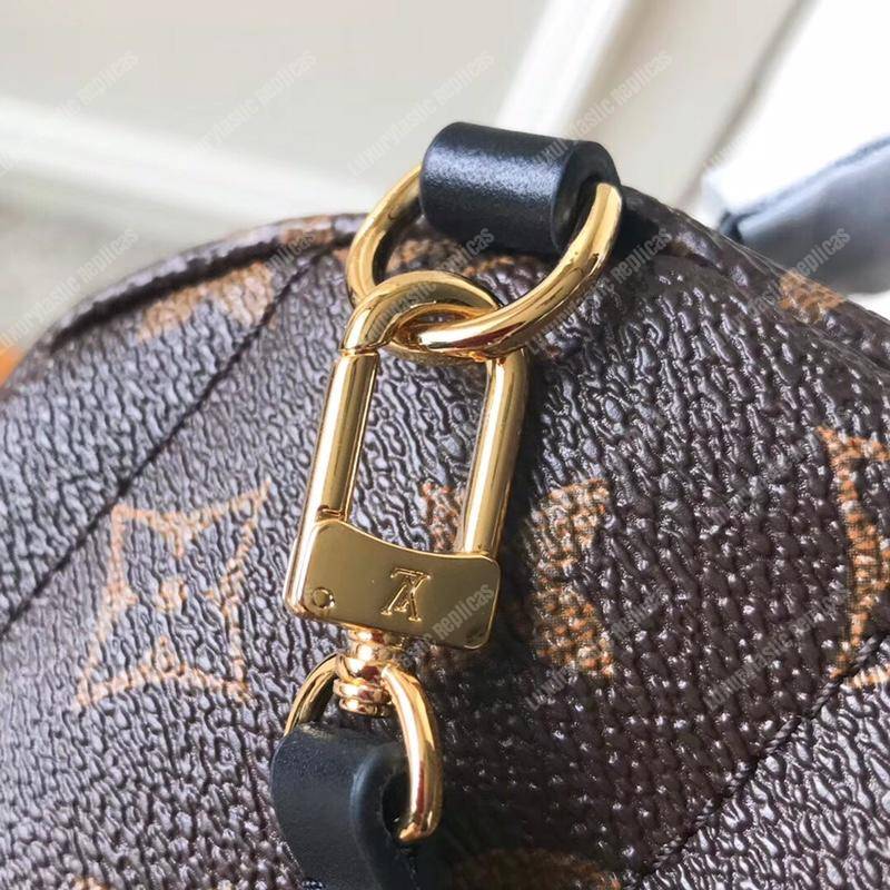 LV Palm Springs World Tour Backpack Mini Monogram