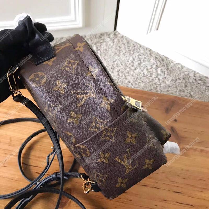 LV Palm Springs Backpack Mini Monogram