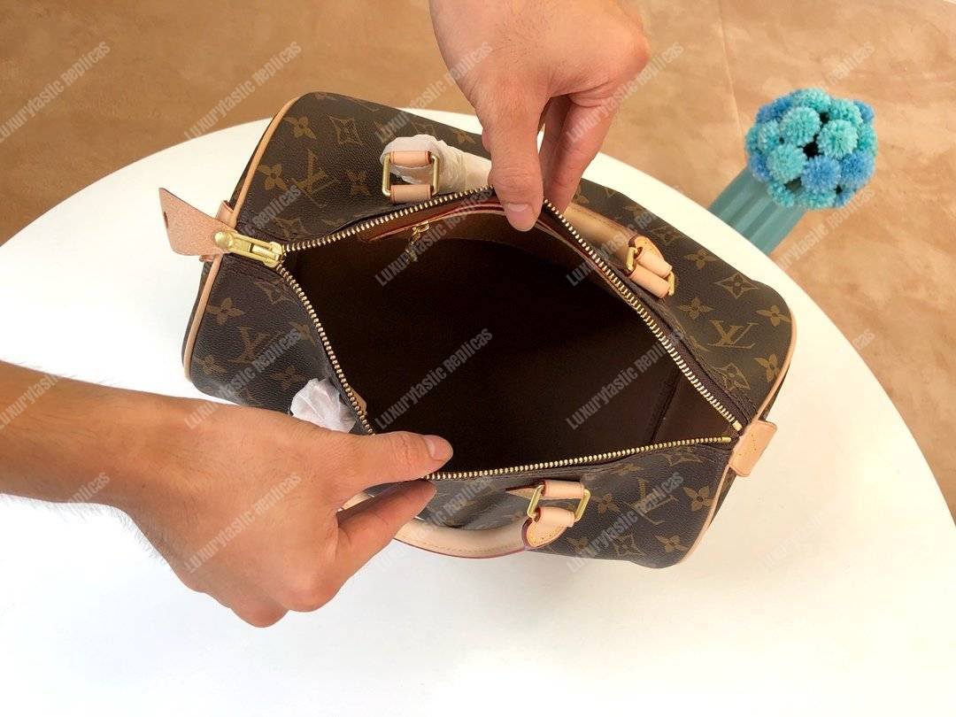 LV Speedy 30 Monogram Canvas