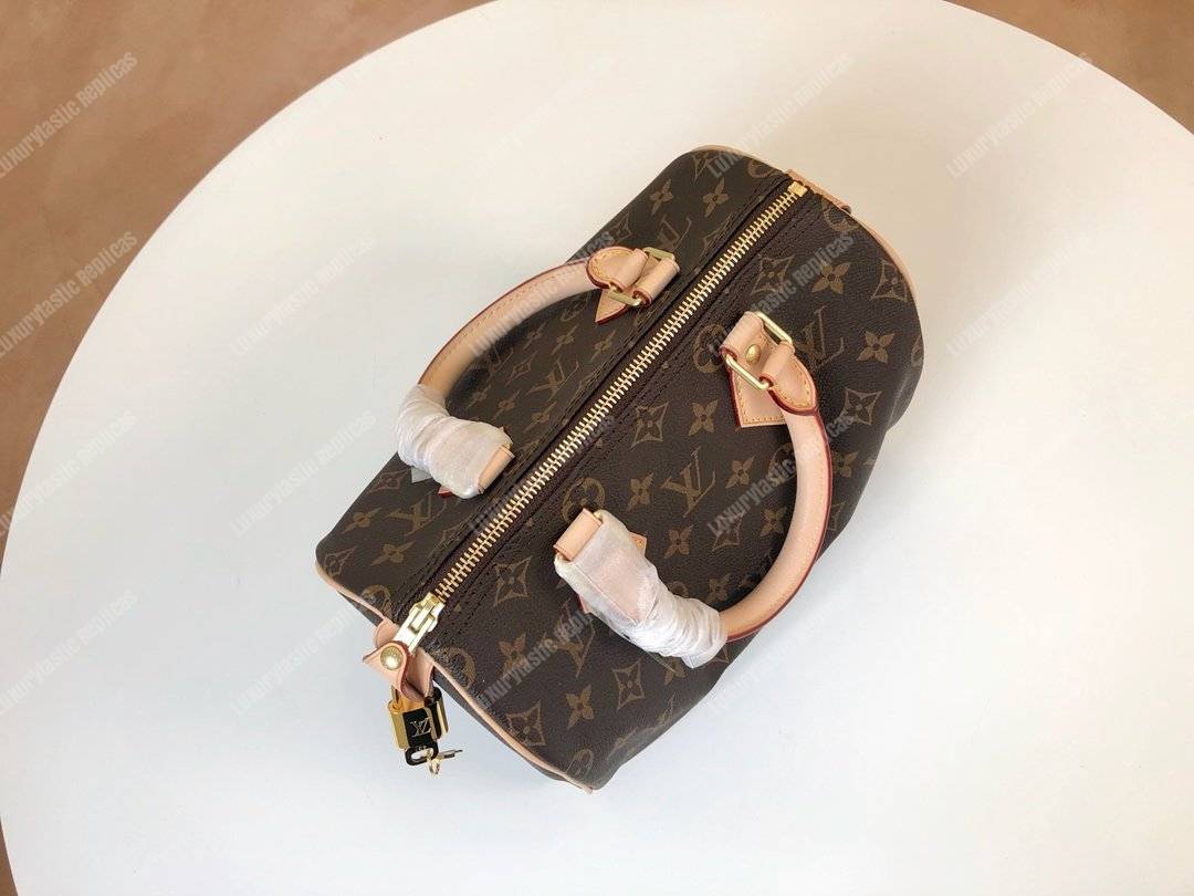 LV Speedy 25 Monogram Canvas