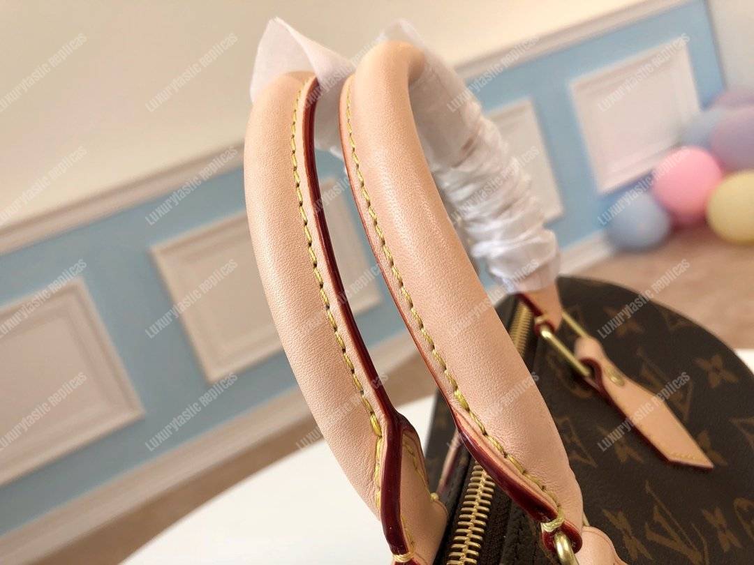 LV Speedy 25 Monogram Canvas