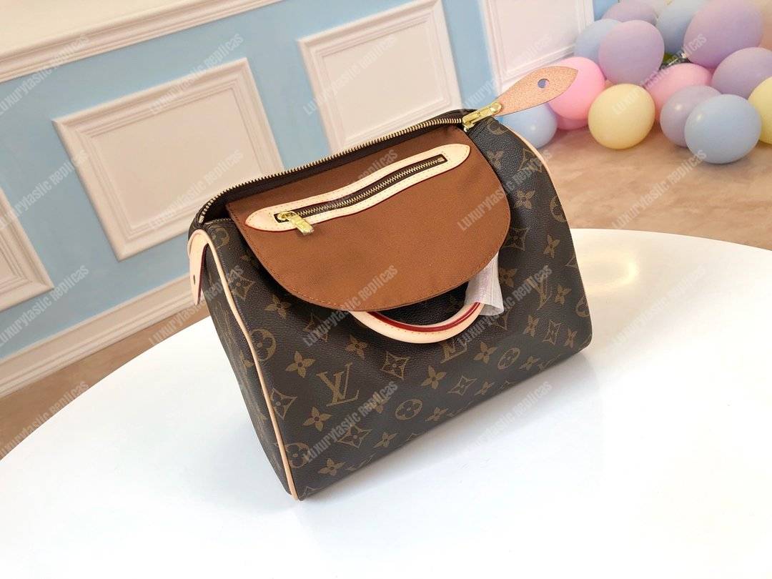 LV Speedy 25 Monogram Canvas
