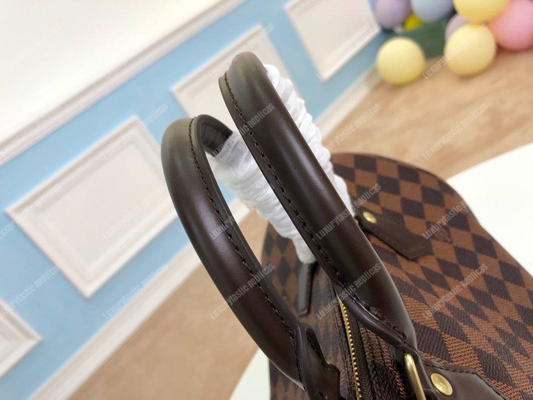 LV Speedy 30 Damier Ebene