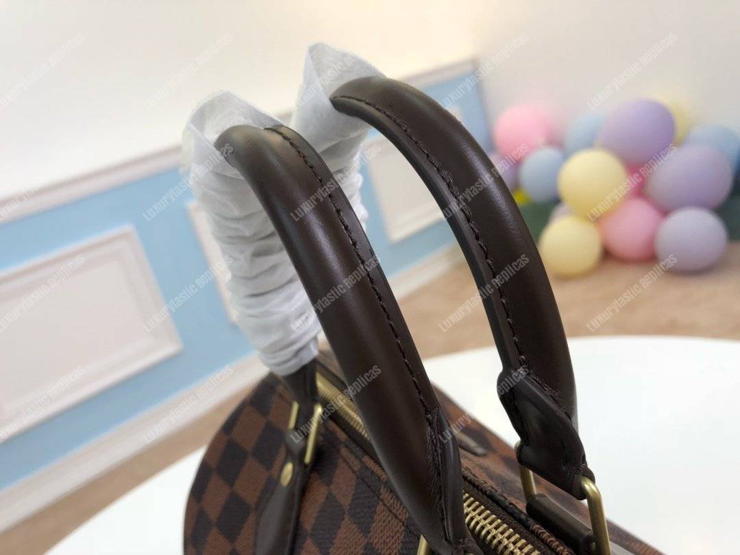 LV Speedy 25 Damier Ebene