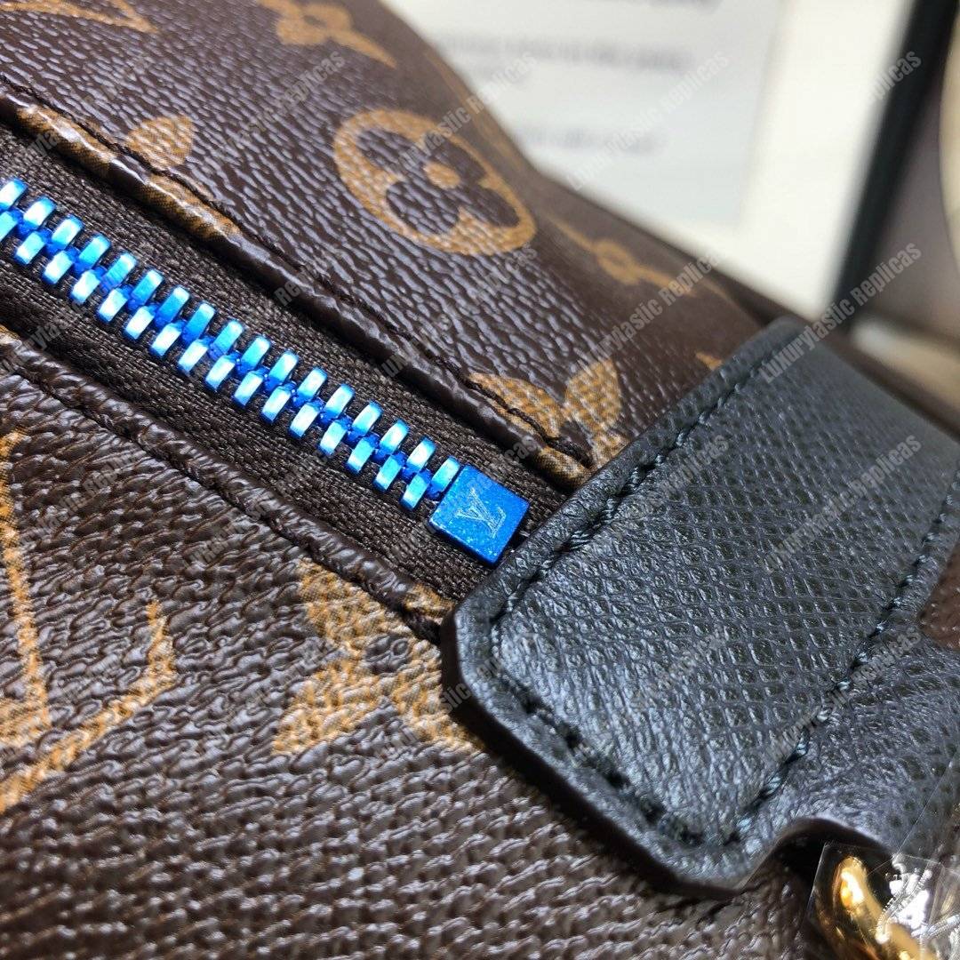 LV Apollo Backpack Brown