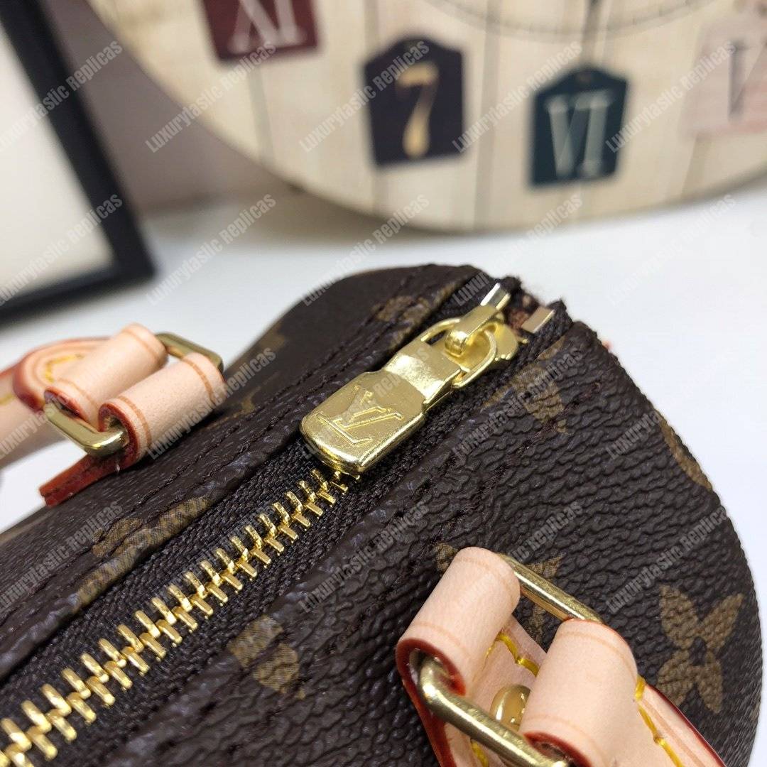 LV Nano Speedy Monogram