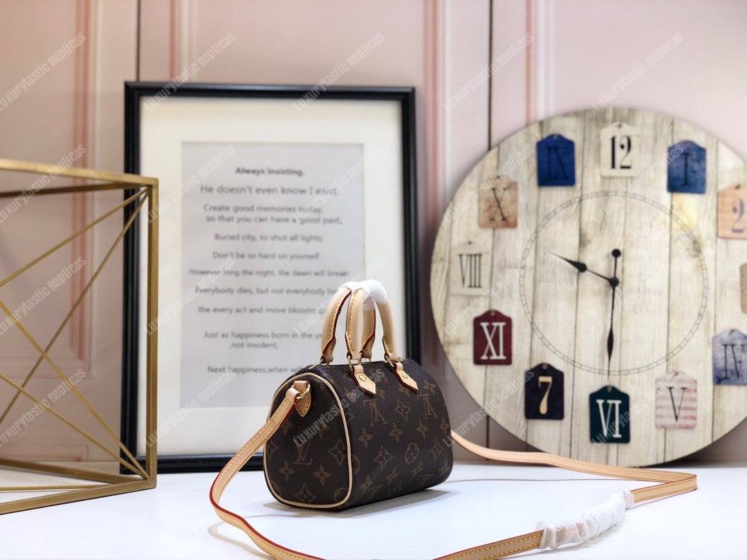 LV Nano Speedy Monogram