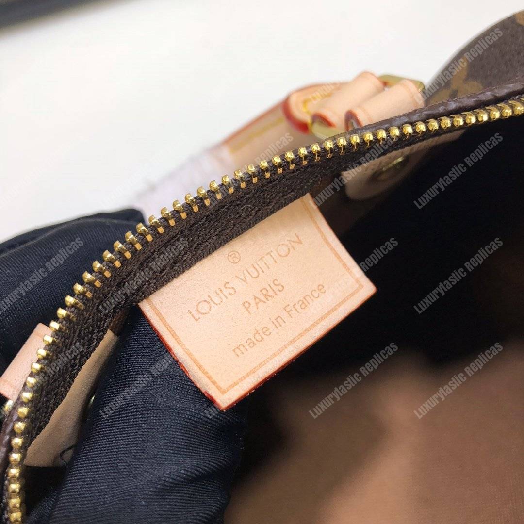 LV Nano Speedy Monogram