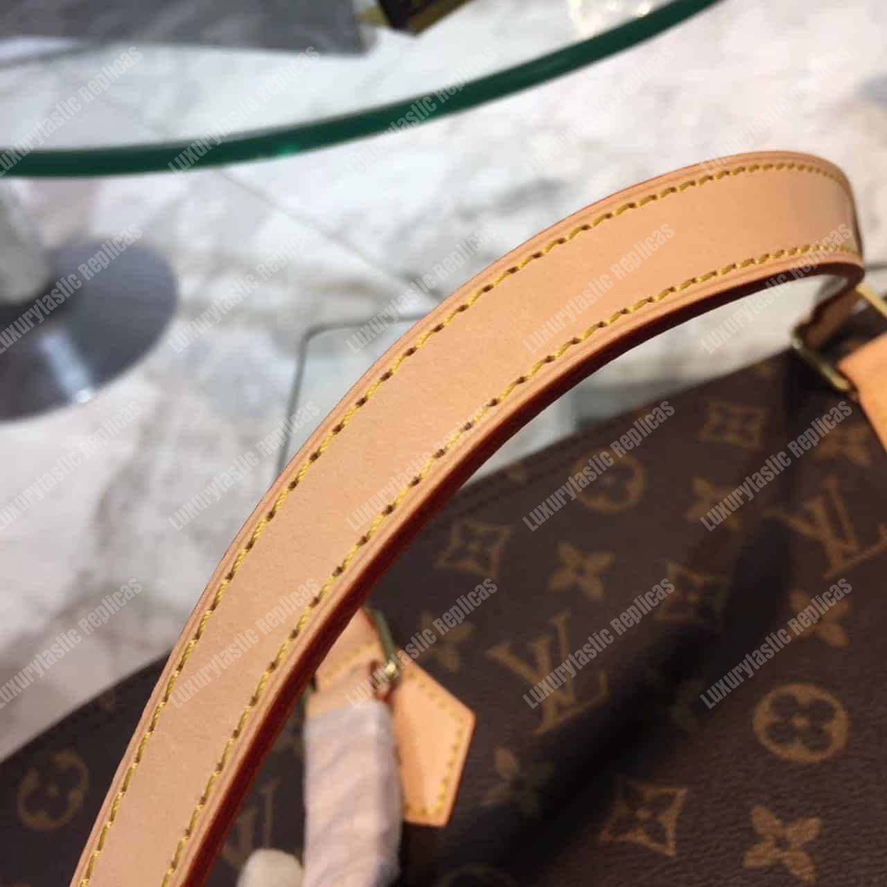 LV All-In PM Bag Monogram Canvas