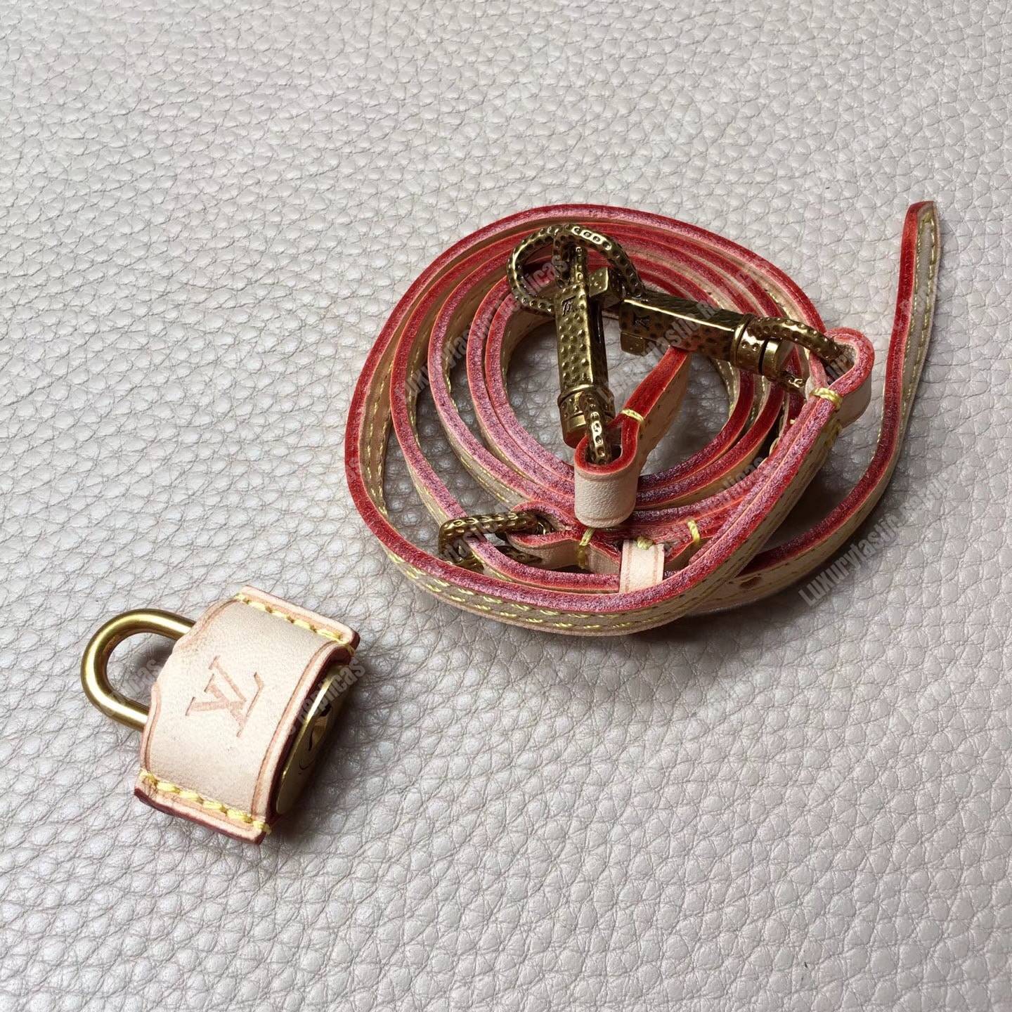 LV Speedy 20 Chain Tote Bag Monogram Canvas