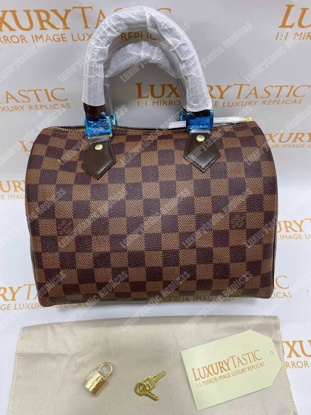 LV Speedy 25 Damier Ebene