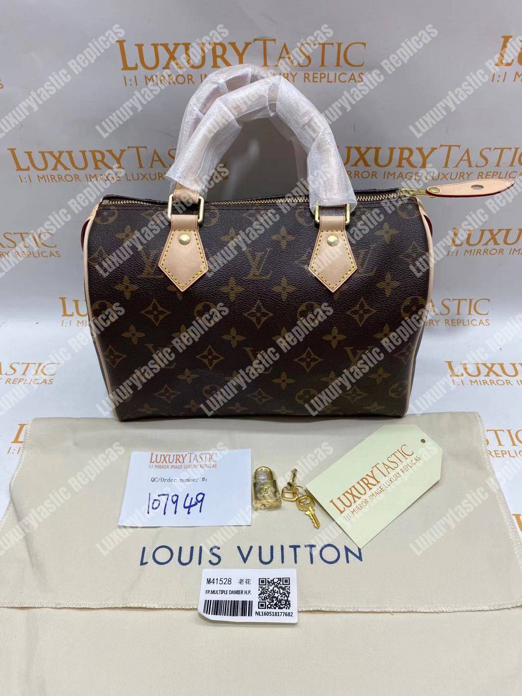 LV Speedy 25 Monogram Canvas