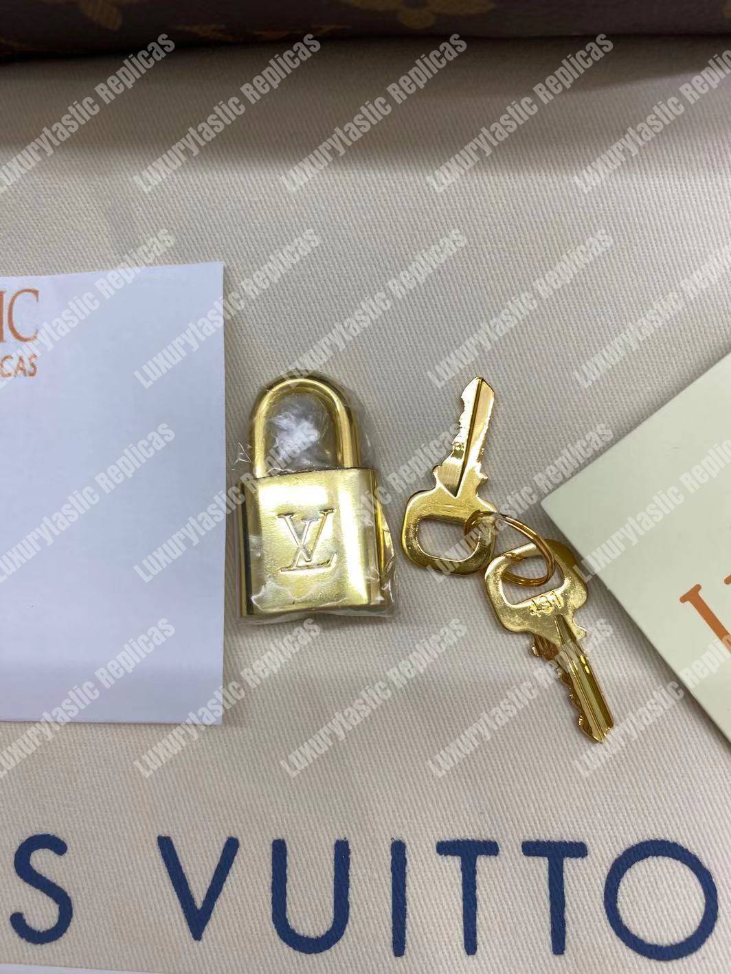 LV Speedy 25 Monogram Canvas