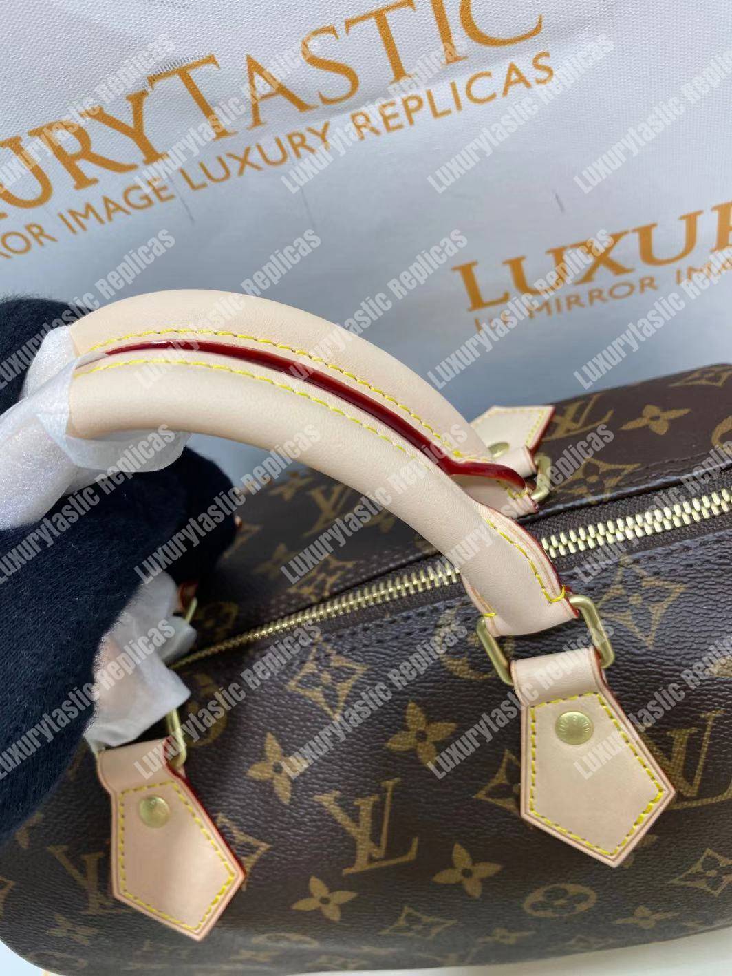 LV Speedy 25 Monogram Canvas