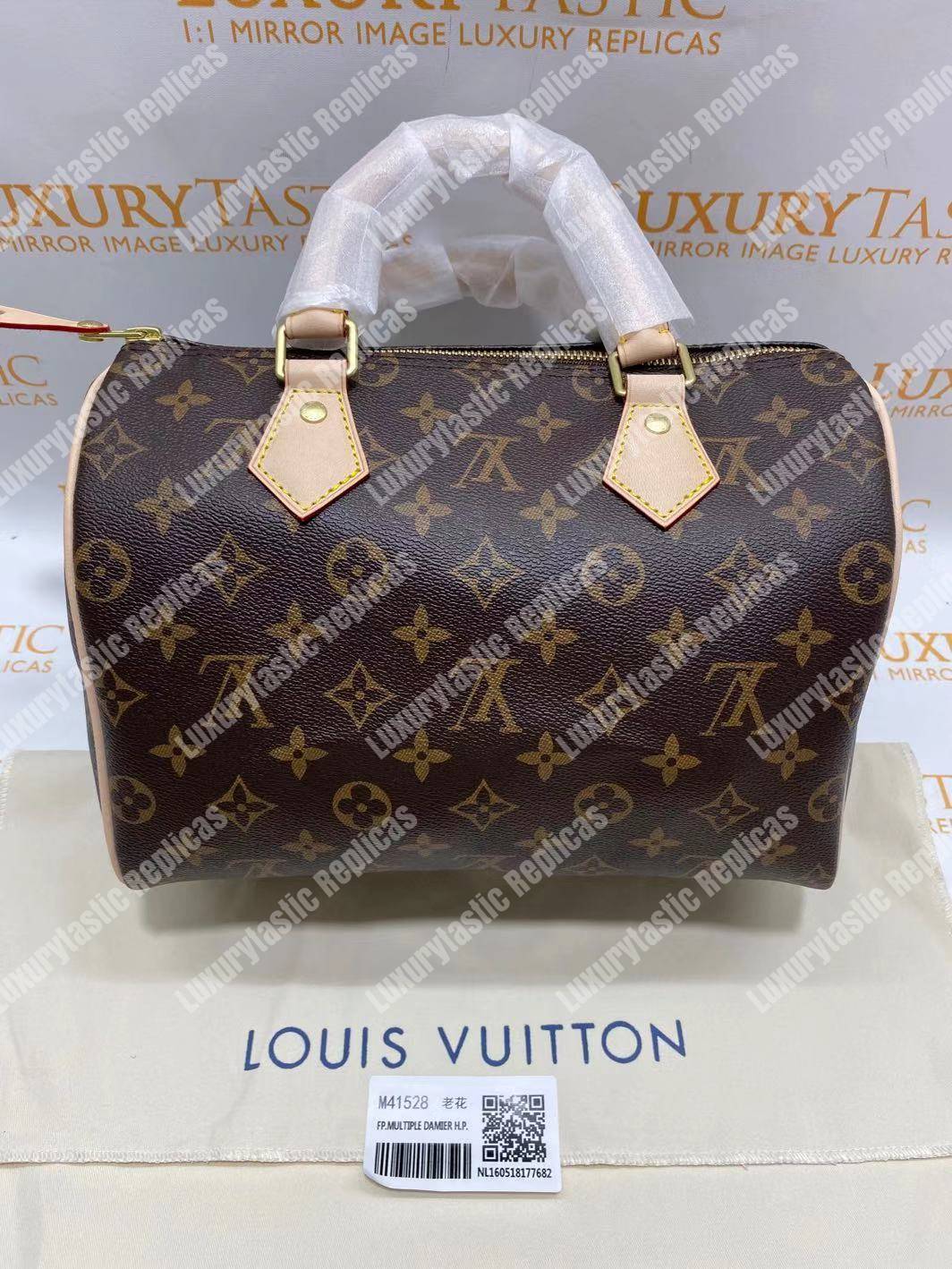 LV Speedy 25 Monogram Canvas