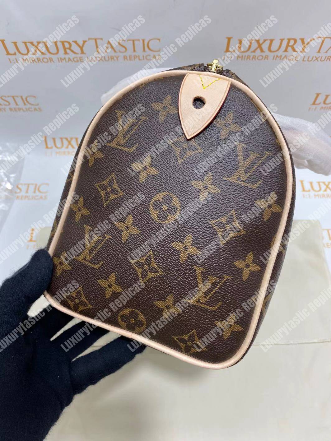 LV Speedy 25 Monogram Canvas