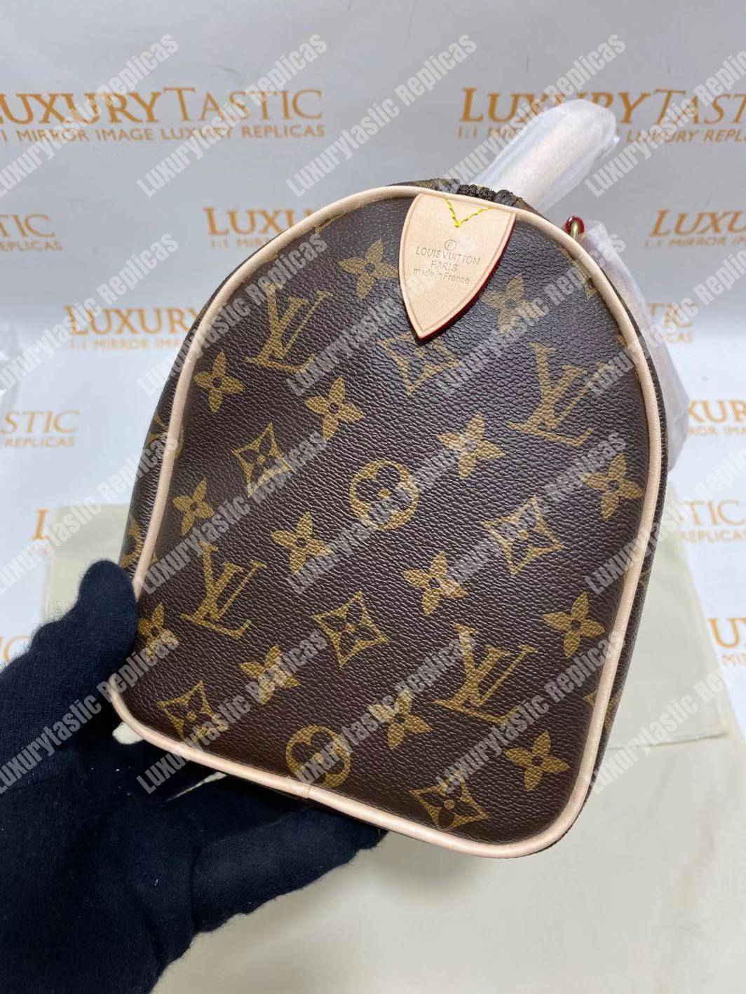 LV Speedy 25 Monogram Canvas