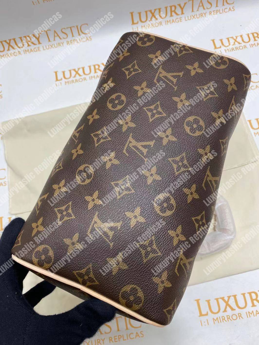 LV Speedy 25 Monogram Canvas