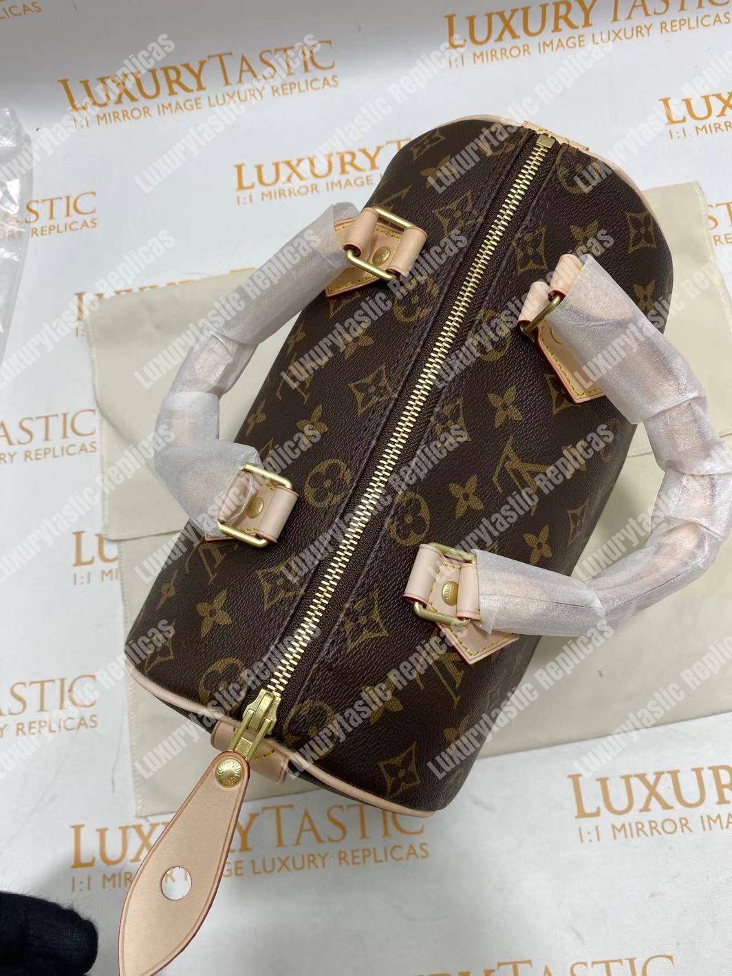 LV Speedy 25 Monogram Canvas