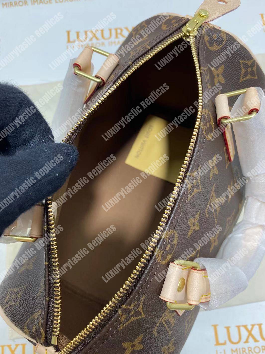 LV Speedy 25 Monogram Canvas