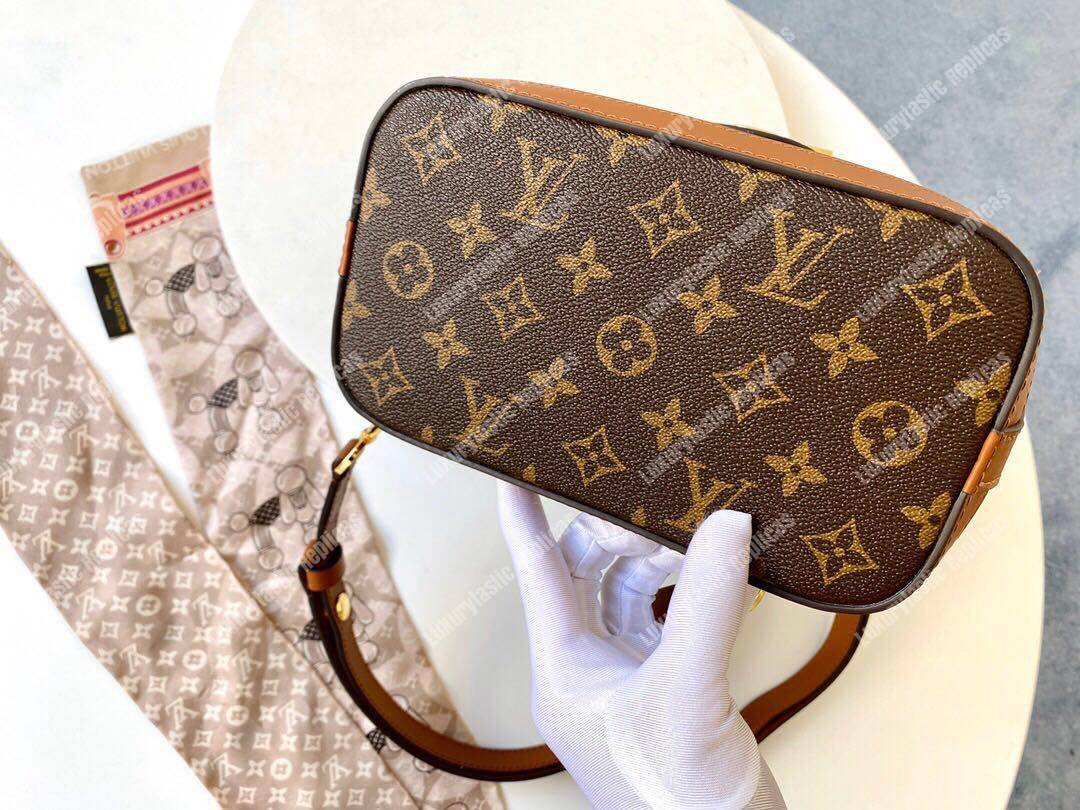 LV Dauphine Backpack PM Monogram And Monogram Reverse