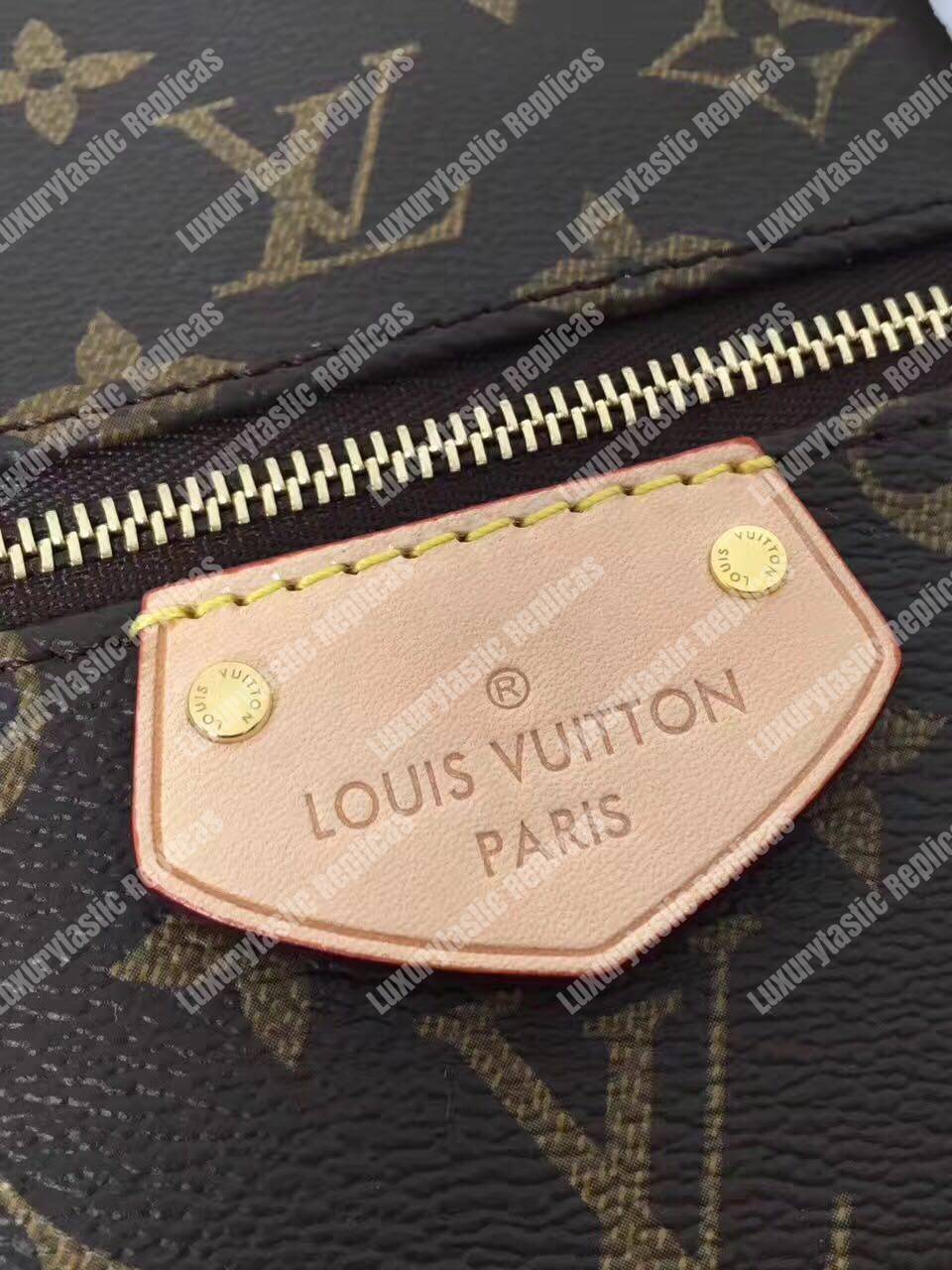LV Iena PM Bag Monogram