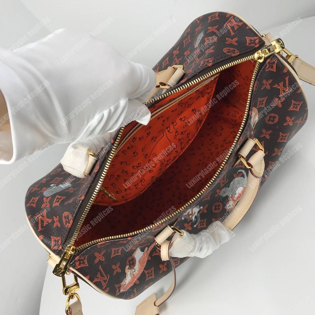LV Speedy Bandouliere 30 Catogram Brown/Orange