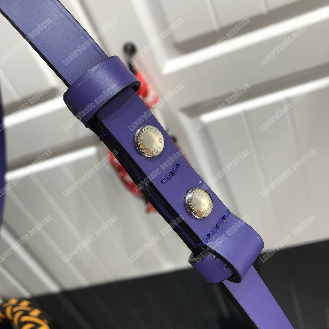 LV NéoNoé Bucket Bag Epi Leather Black