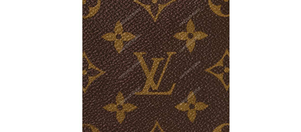 LV Toiletry Pouch 19 Monogram