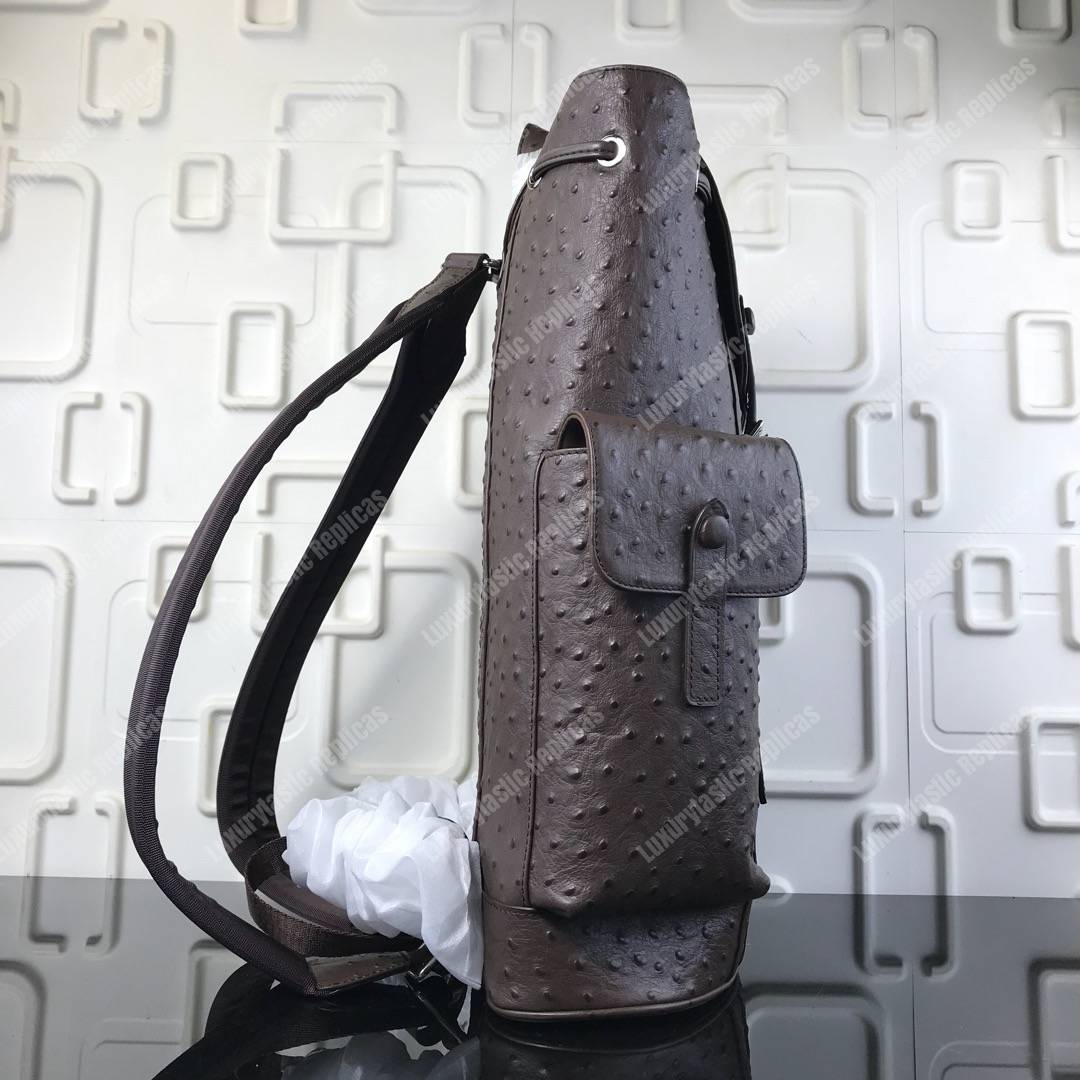 LV Christopher Backpack Autruche Brown