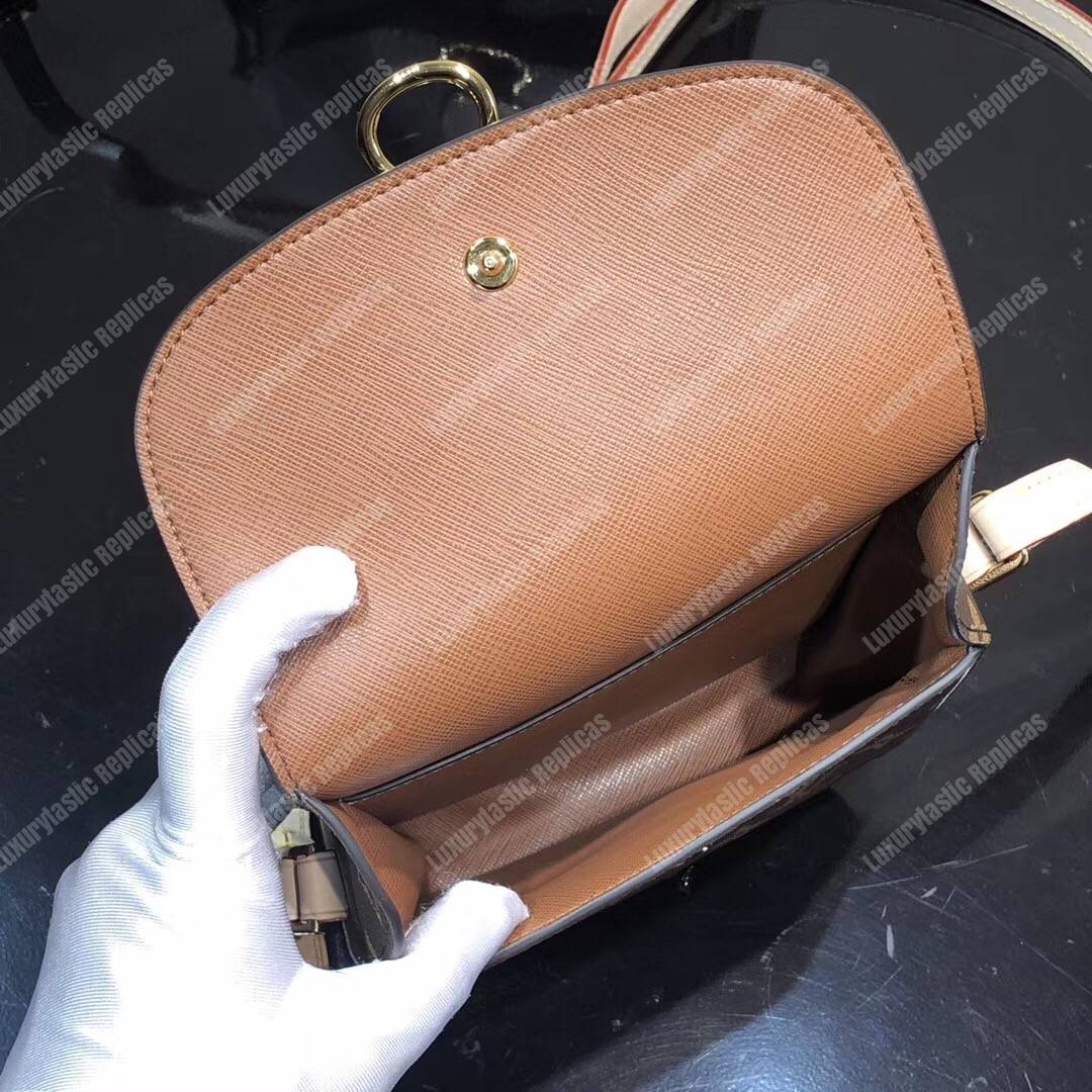 LV Monogram Saint Cloud PM