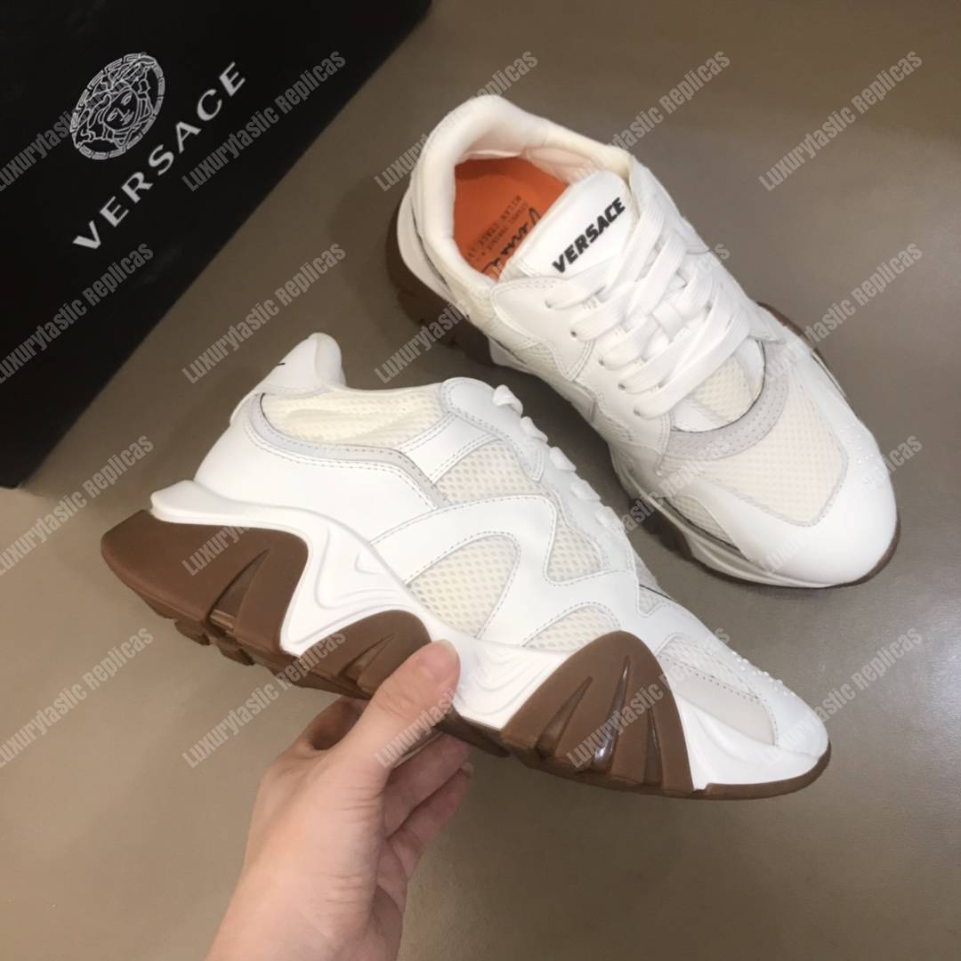 Versace Squalo Sneakers White/Brown