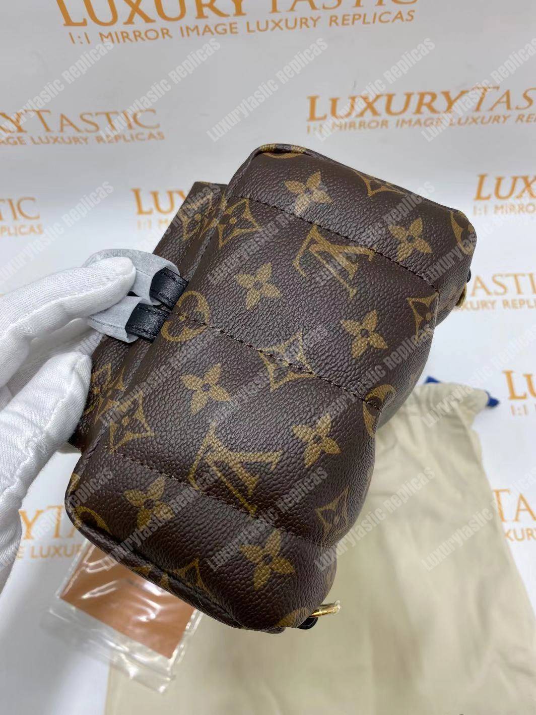 LV Palm Springs Backpack Mini Monogram