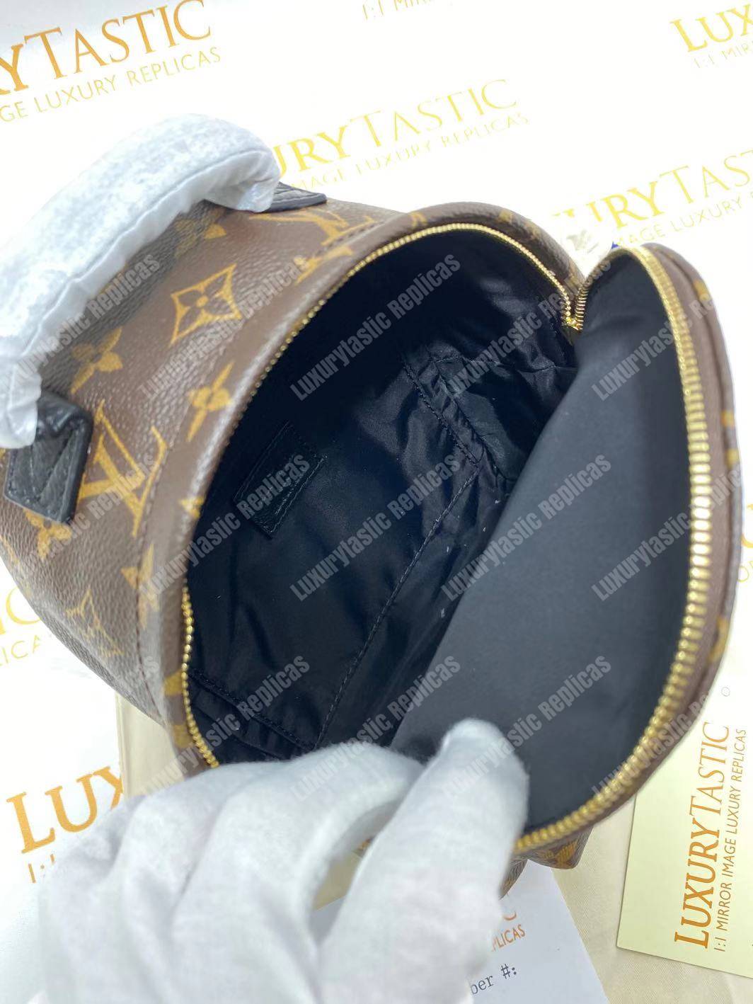 LV Palm Springs Backpack Mini Monogram