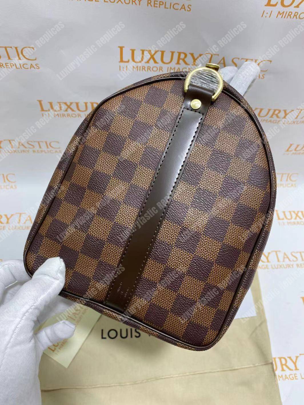 LV Speedy Bandouliere 25 Damier Ebene