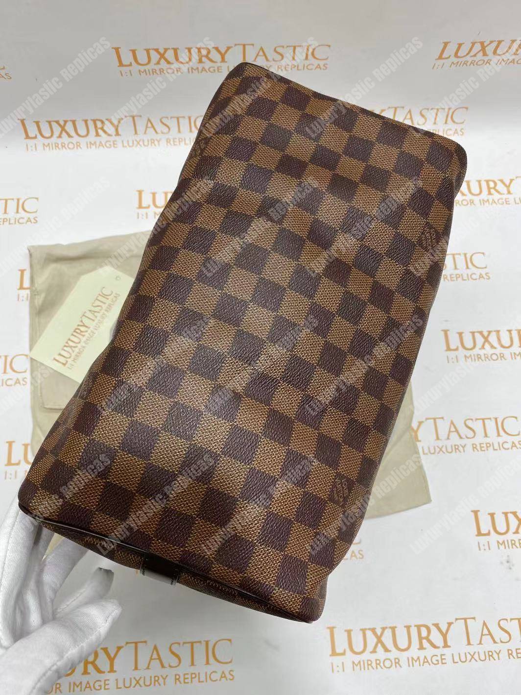 LV Speedy Bandouliere 25 Damier Ebene