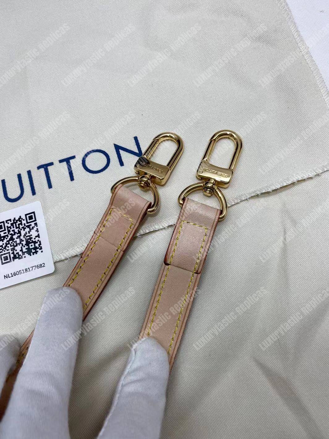 LV Speedy Bandouliere 25 Monogram