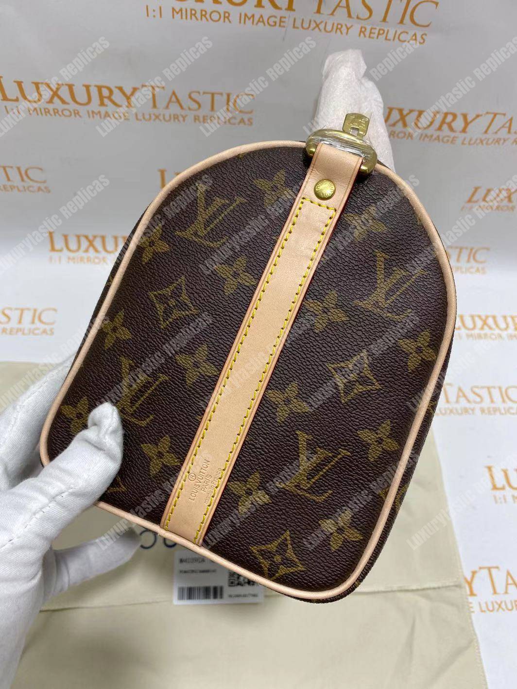 LV Speedy Bandouliere 25 Monogram