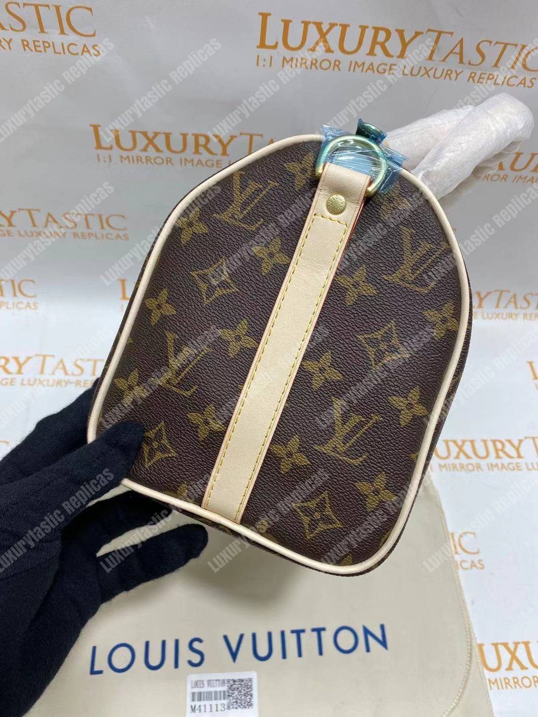 LV Speedy 30 Monogram Canvas