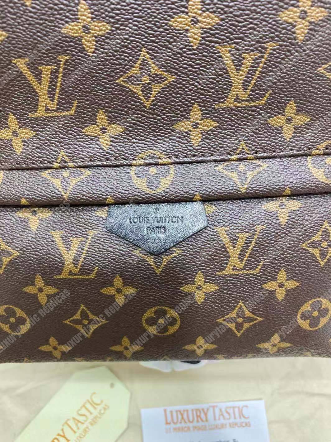 LV Palm Springs Backpack MM Monogram