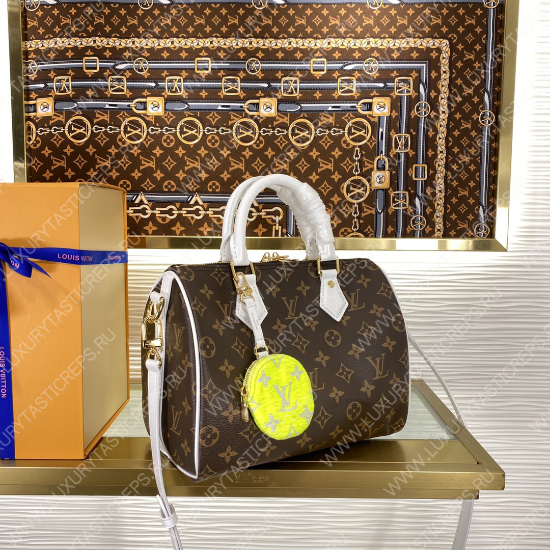 l**is V*t*n speedy bandouliÈre 25 brown m20754