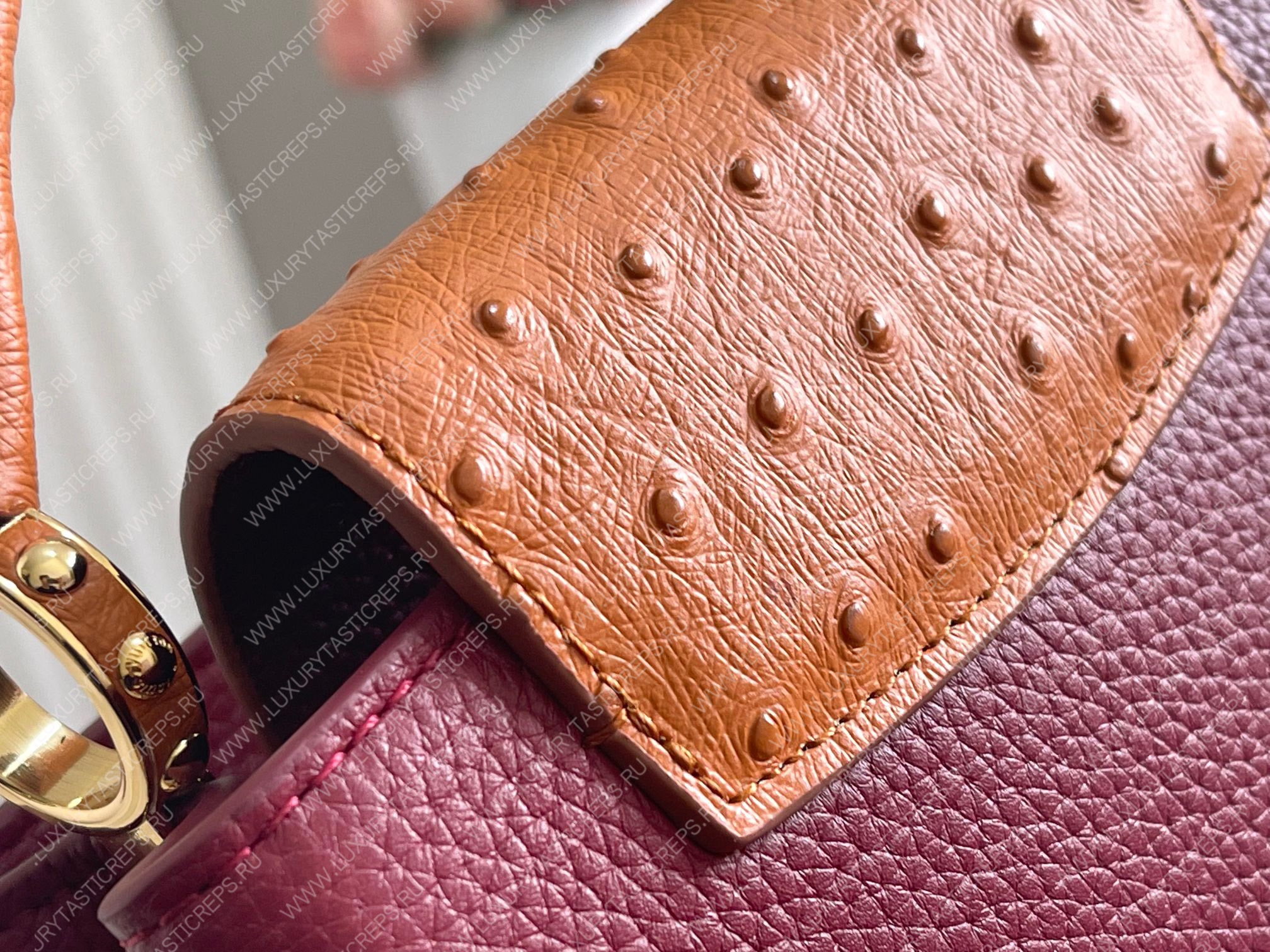 l**is V*t*n capucines mini griotte red / honey n81409