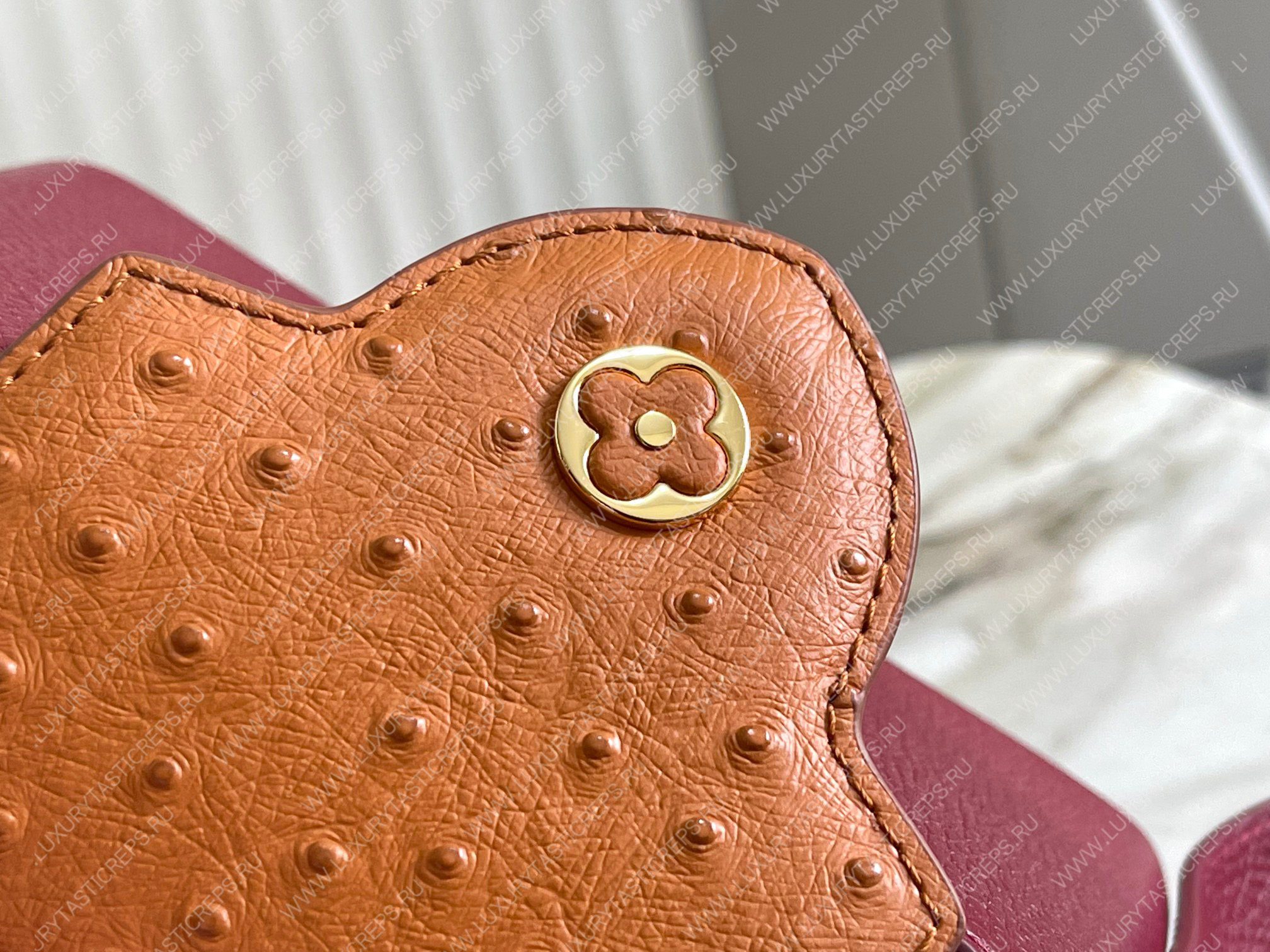 l**is V*t*n capucines mini griotte red / honey n81409