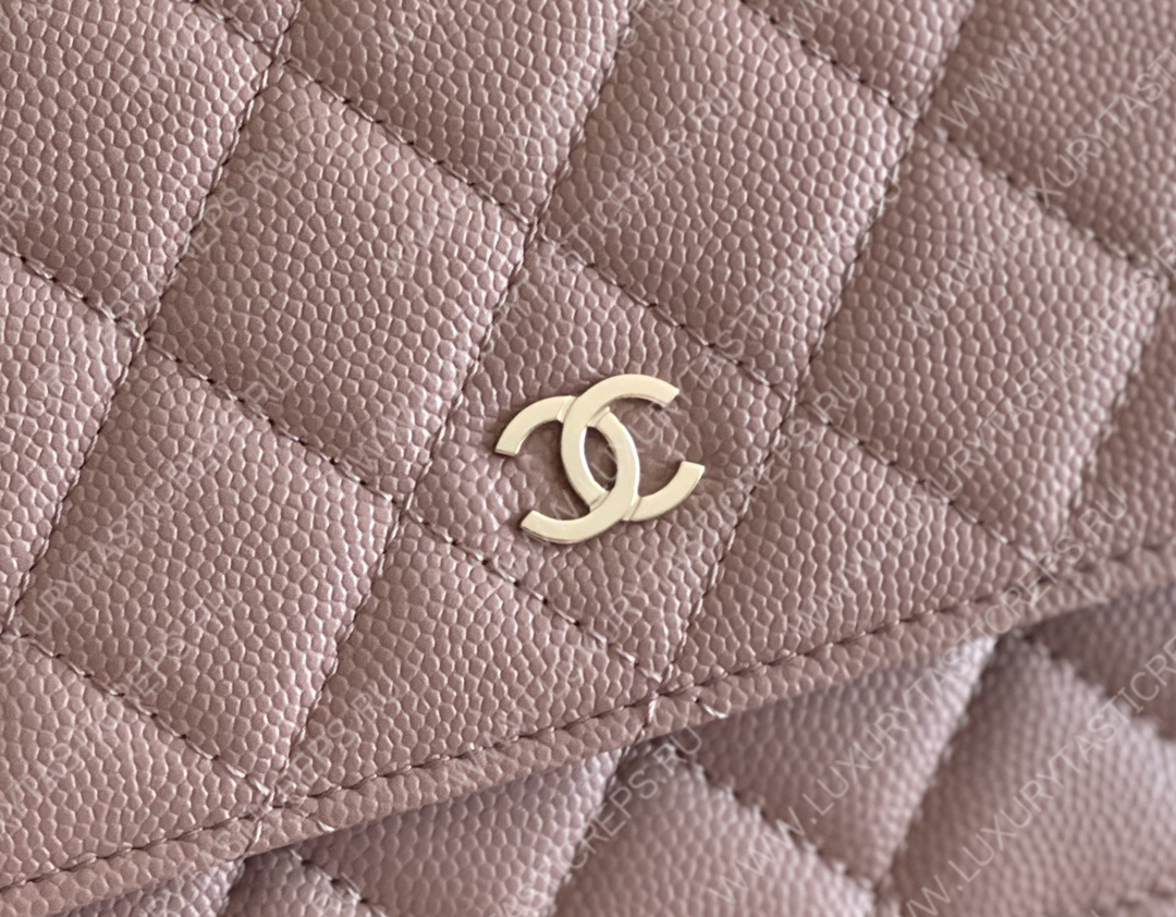 Ch*el classic wallet on chain dark nude ap0250