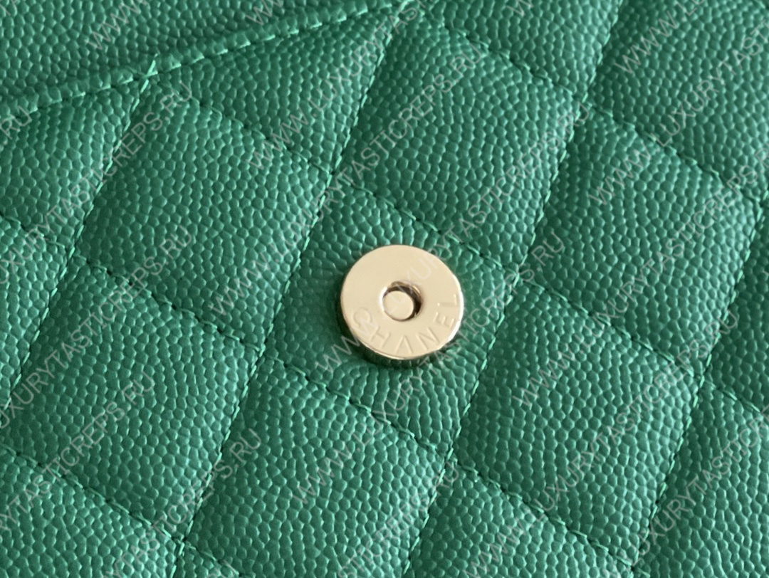 Ch*el classic wallet on chain green ap0250