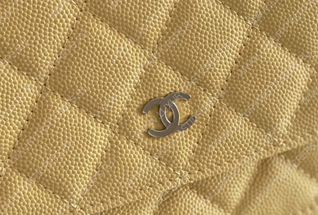 Ch*el wallet on chain yellow ap3009