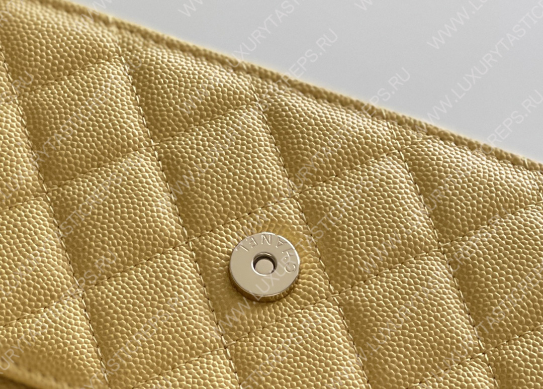 Ch*el wallet on chain yellow ap3009